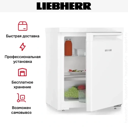 Холодильник Liebherr Re 1000 фото 6