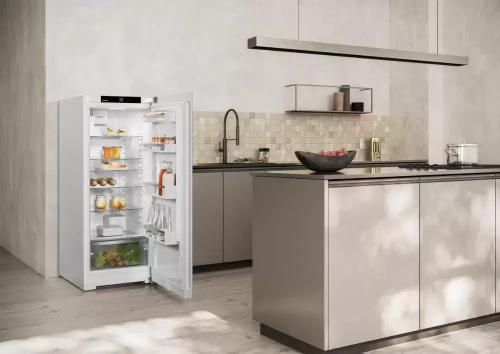 Холодильник Liebherr Rf 4600 Pure фото 10