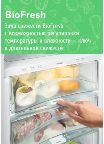 Холодильник Liebherr KBef 3730 Comfort фото 8