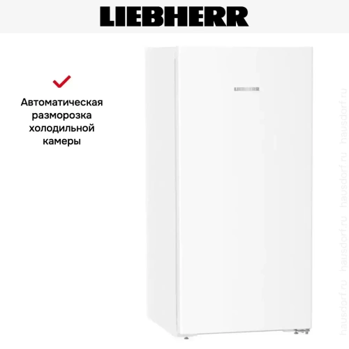Холодильник Liebherr Rf 4200 Pure фото 13