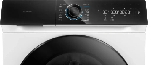 Стиральная машина Gaggenau WM260165 фото 2