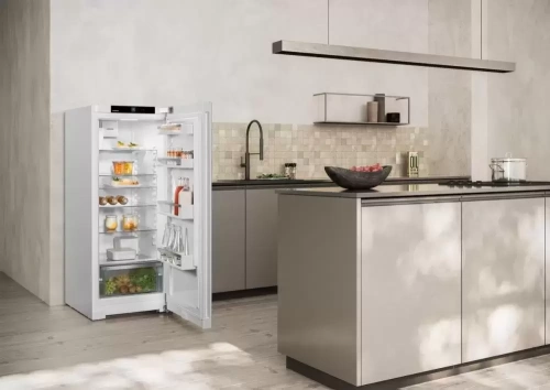 Холодильник Liebherr Rd 4600 Pure фото 10