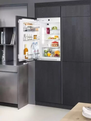 Встраиваемый холодильник Liebherr IKP 1660 фото 3