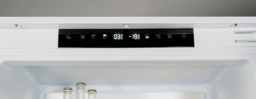 Встраиваемый холодильник Bertazzoni REF604BBNPTC фото 3