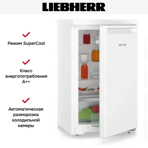 Холодильник Liebherr Re 1200 фото 10