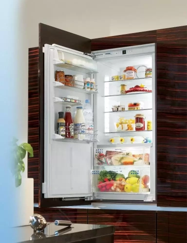 Холодильник Liebherr IKB 2460 PremiumPlus BioFresh фото 3