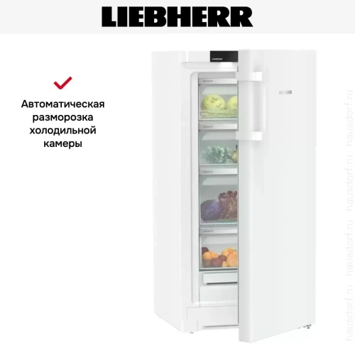 Холодильник Liebherr RBa 4250 фото 13