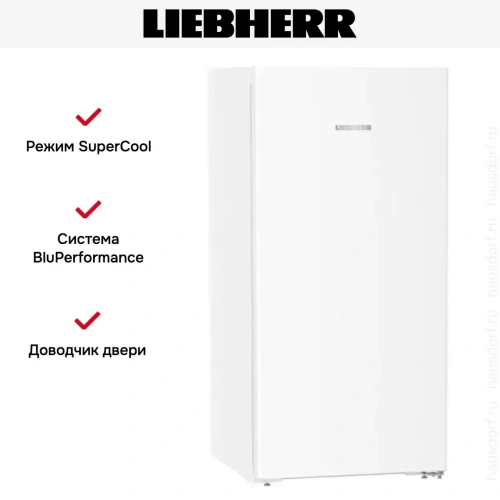 Холодильник Liebherr Rf 4200 Pure фото 11