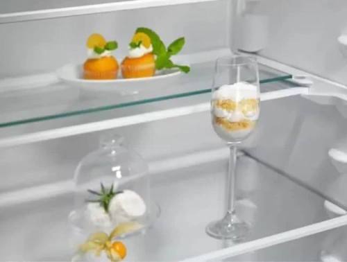 Встраиваемый холодильник Electrolux ENT6ME19S фото 4